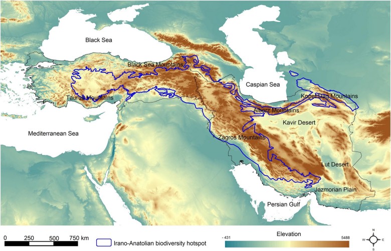 Góry Turcji i Iranu są tym, co odróżnia je od innych krajów Bliskiego Wschodu. Geografia Bliskiego Wschodu - Lewantu