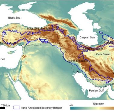 Góry Turcji i Iranu są tym, co odróżnia je od innych krajów Bliskiego Wschodu. Geografia Bliskiego Wschodu - Lewantu