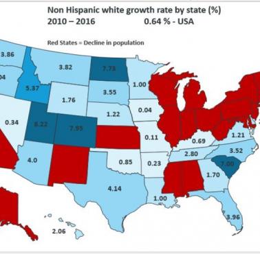 Wzrost lub ubytek białych mieszkańców w poszczególnych stanach USA, dane od 2010-16