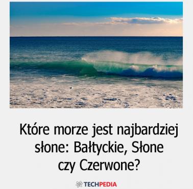 Które morze jest najbardziej słone: Bałtyckie, Słone, Czerwone?