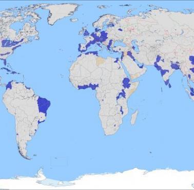 Połowa ludności świata żyje na obszarach niebieskich