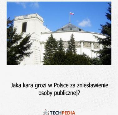 Jaka kara grozi w Polsce za zniesławienie osoby publicznej?