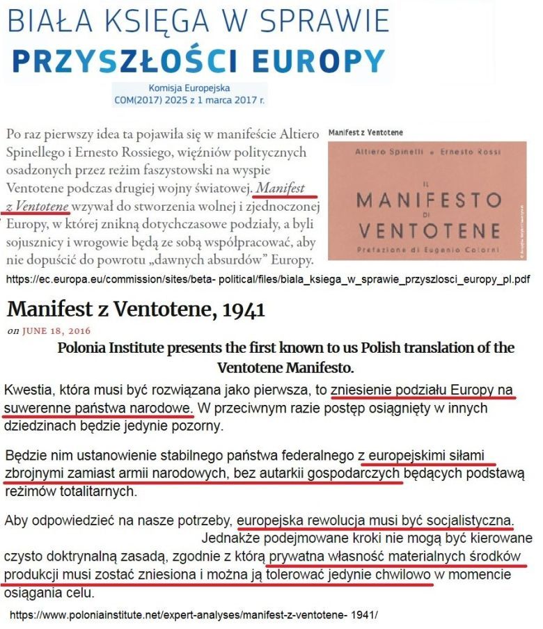 Likwidacja państw narodowych to główny cel UE zgodnie z Białą Księgą