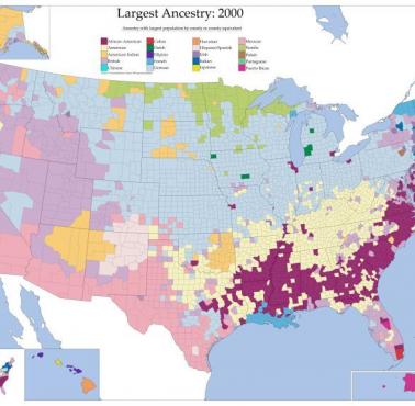 Mapa największej ilości urodzeń w poszczególnych hrabstwach z podziałem na mniejszości etniczne, dane za 2000 rok