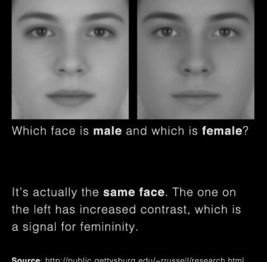 Która to twarz kobiety, a która należy do mężczyzny? 
