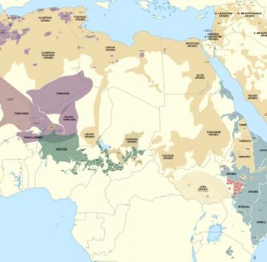 Afroazjatyckie grupy językowe: hebrajski, arabski, berberyjski, kuszycki