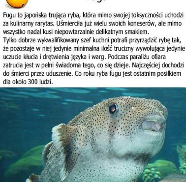 Fugu