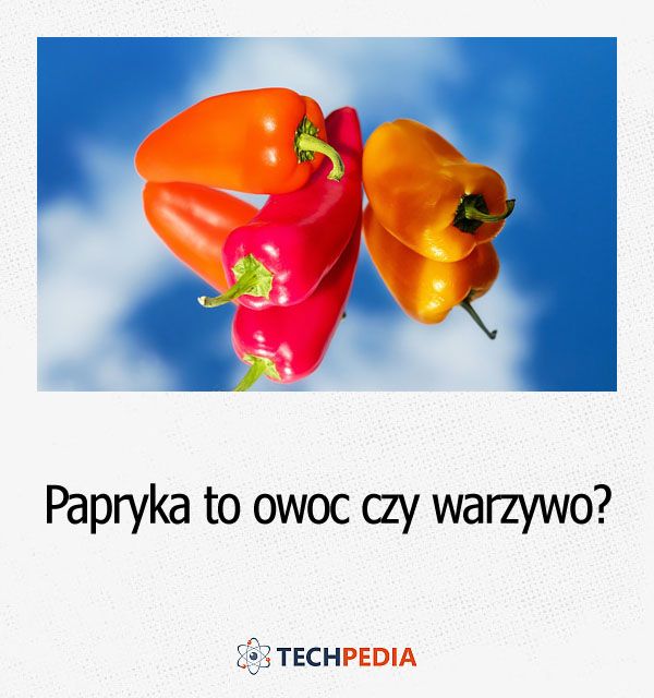 Papryka to owoc czy warzywo?