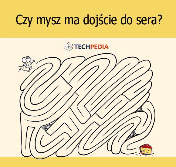 Czy mysz ma dojście do sera?