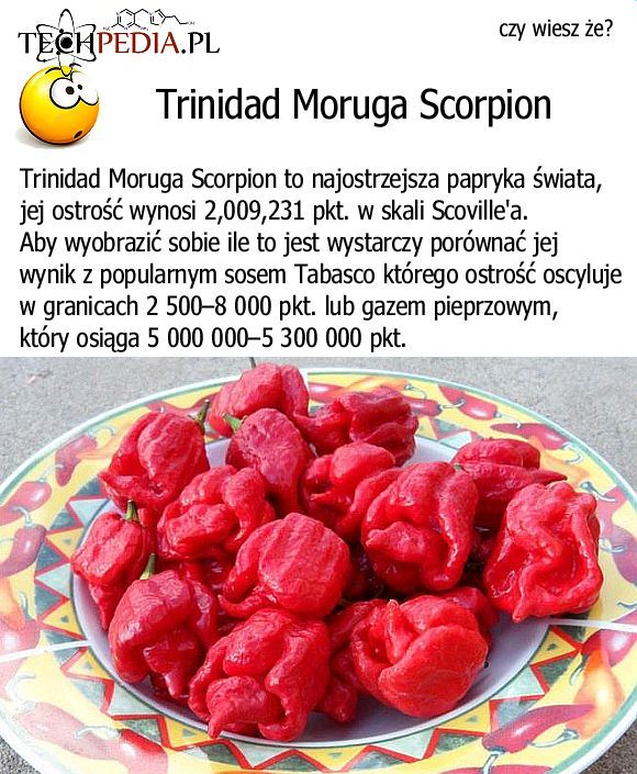 Trinidad Moruga Scorpion - Najostrzejsza papryka świata