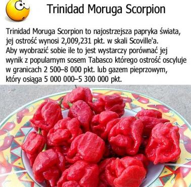 Trinidad Moruga Scorpion - Najostrzejsza papryka świata