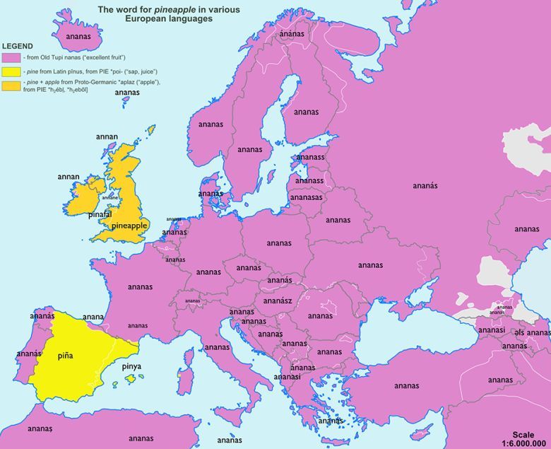 Słowo ananas w różnych europejskich językach