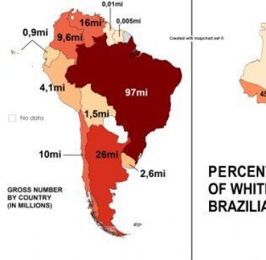 Biali mieszkańcy w poszczególnych państwach Ameryki Południowej