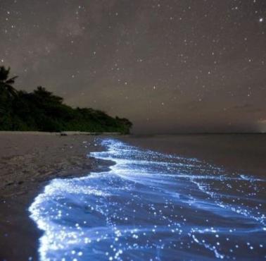 Bioluminescencyjne fale na plaży na Malediwach