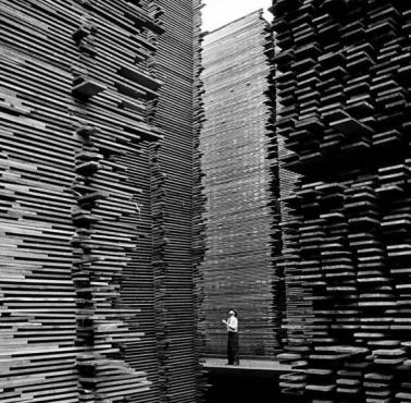 Stosy drewna w składzie Seattle Cedar Lumber Manufacturing, 1939