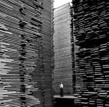 Stosy drewna w składzie Seattle Cedar Lumber Manufacturing, 1939