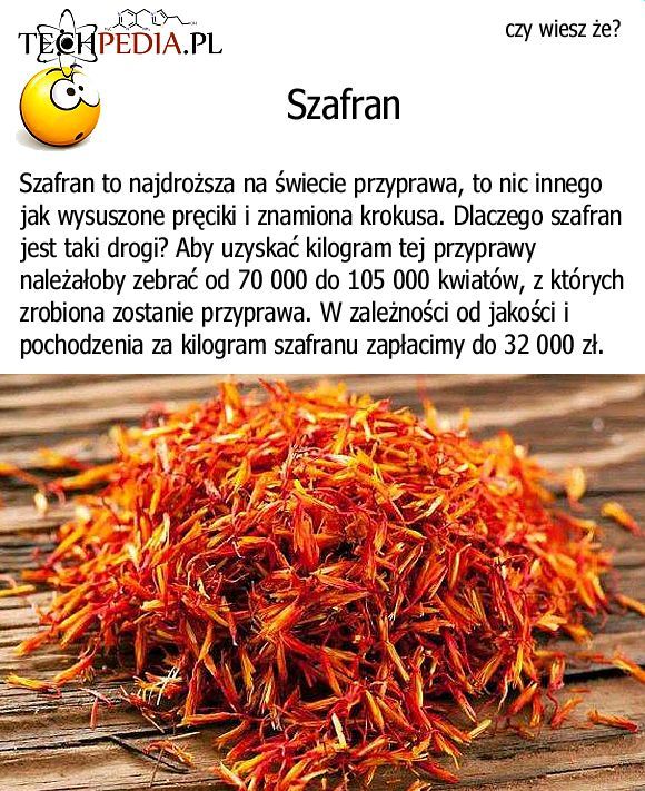 Szafran - Najdroższa przyprawa świata