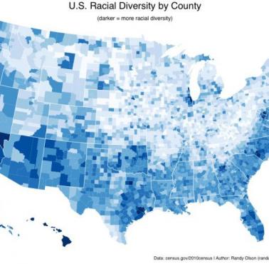 Etniczna mapa USA. Mapa różnorodności rasowej/etnicznej w USA z podziałem na hrabstwa, 2010