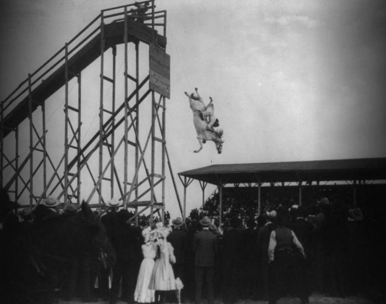 Jeździec i jego koń wykonują skok do wody, 4 lipca 1905 roku