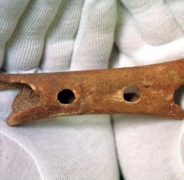 Neandertalski flet, to najstarszy instrument muzyczny na świecie (43 000 p.n.e.)