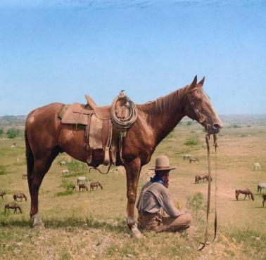 Kowboj na granicy amerykańskiej w Bonham, Teksas, czerwiec 1910 roku