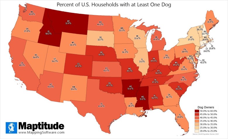 Popularność psów w USA z podziałem na stany. Odsetek gospodarstw domowych posiadających psa, 2024