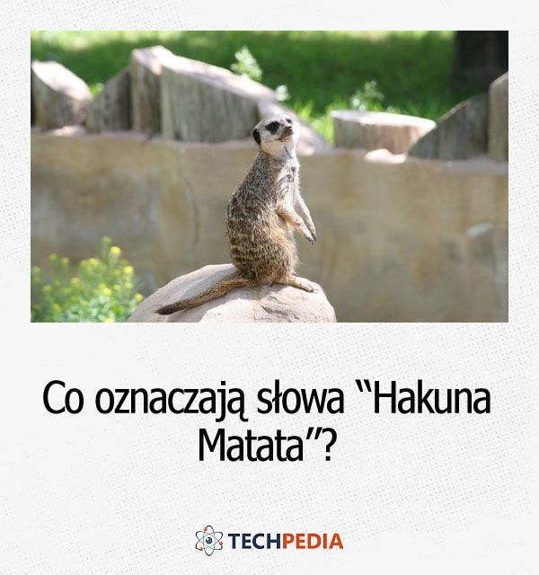 Co oznaczają słowa “Hakuna Matata”?