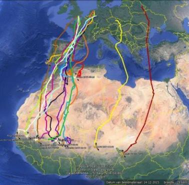 Główne trasy przerzutu emigrantów z Afryki do Europy, 2015-2017