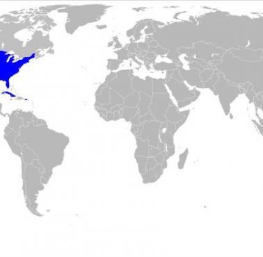 USA w 1902 roku