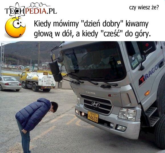 Dzień dobry, a cześć