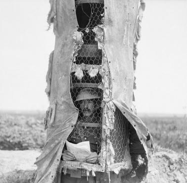 Brytyjski żołnierz w punkcie obserwacyjnym - sztucznym drzewie, Souchez, Francja, 1918 