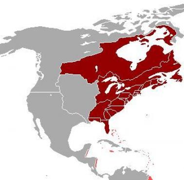 Maksymalny zasięg terytorialny Wielkiej Brytanii w Ameryce Północnej