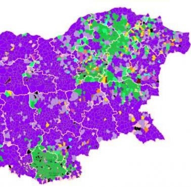 Struktura etniczna Bułgarii na podstawie spisu ludności Bułgarii z 2011 roku