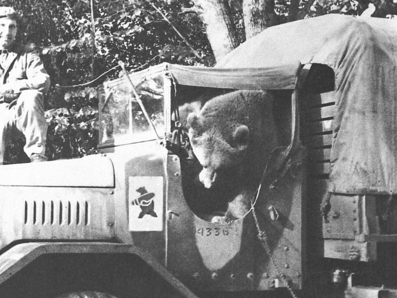 Adoptowany w Iranie przez żołnierzy Andersa niedźwiedź Wojtek, 1944