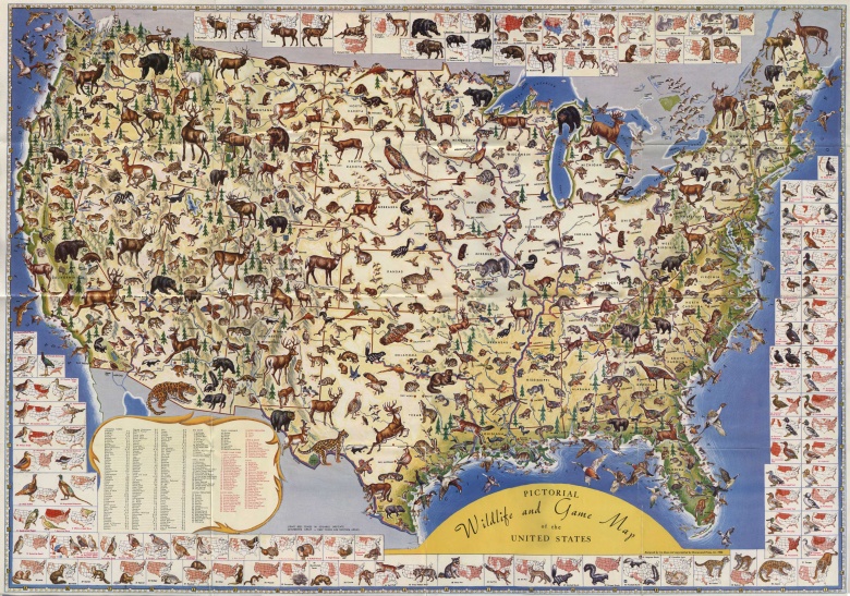 Zwierzęta USA