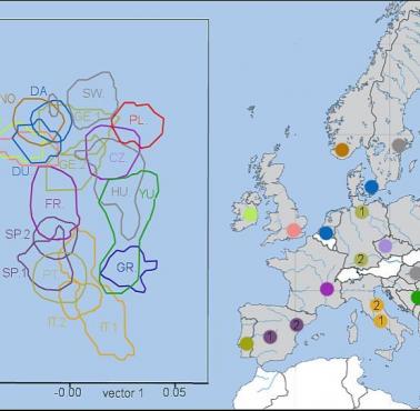Mapa genetyczna Europy ukazująca stopień pokrewieństwa pomiędzy populacjami