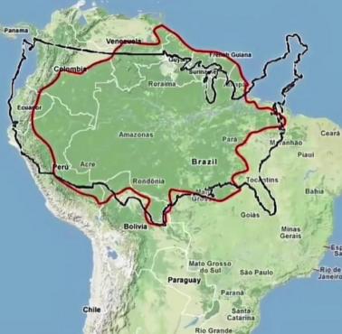 Obszar USA (8,080 mln km²) nałożony na obszar amazońskiego lasu deszczowego (6,7 mln km²)