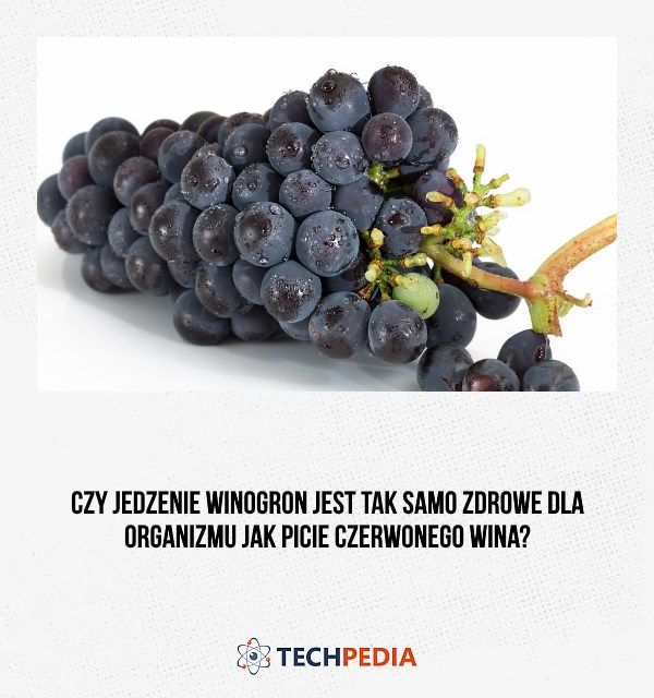 Czy jedzenie winogron jest tak samo zdrowe dla organizmu jak picie czerwonego wina?
