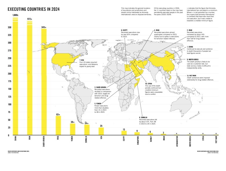 Wykonane kary śmierci w poszczególnych państwach świata w 2024 roku, Amnesty International