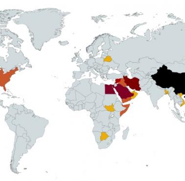 Wykonane kary śmierci w poszczególnych państwach świata w 2021 roku, Amnesty International
