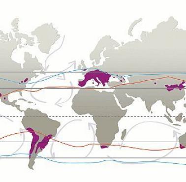 Mapa wszystkich regionów uprawy winorośli na świecie