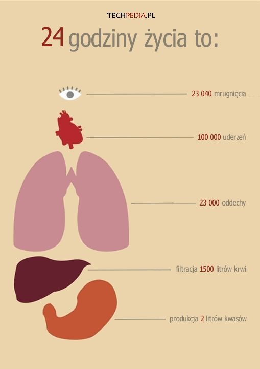 24 godziny z życia.