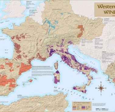 Mapa upraw winorośli w Europie Zachodniej