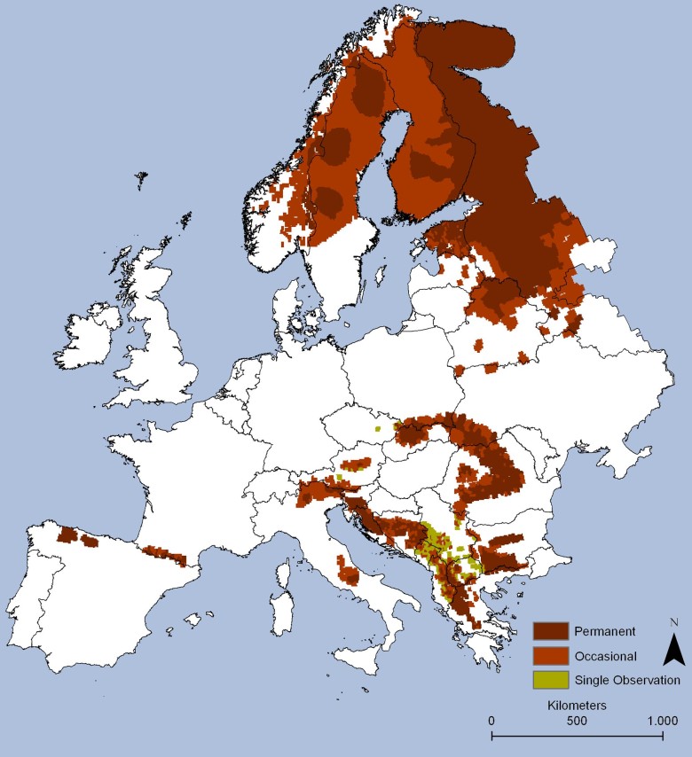 Występowanie niedźwiedzi brunatnych w Europie
