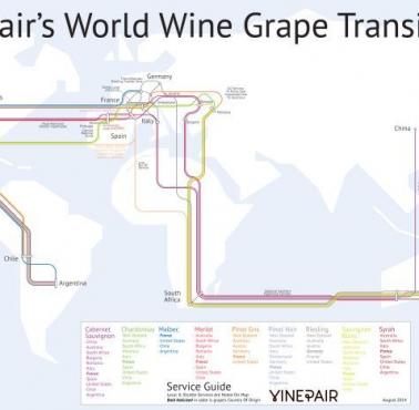 Światowa mapa tranzytowa wina