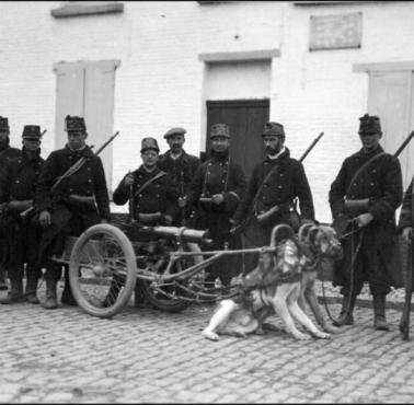 Belgijski oddział karabinów maszynowych, I wojna światowa, 1917