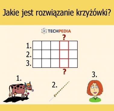 Jakie jest rozwiązanie krzyżówki?