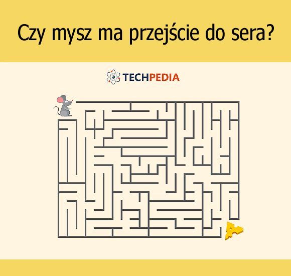 Czy mysz ma przejście do sera?