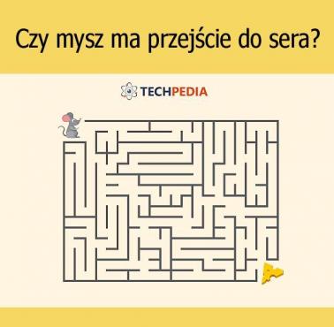 Czy mysz ma przejście do sera?