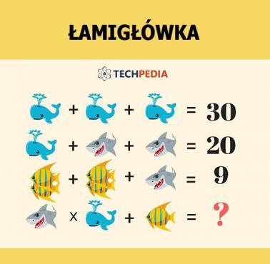 Jakie jest rozwiązanie łamigłówki?